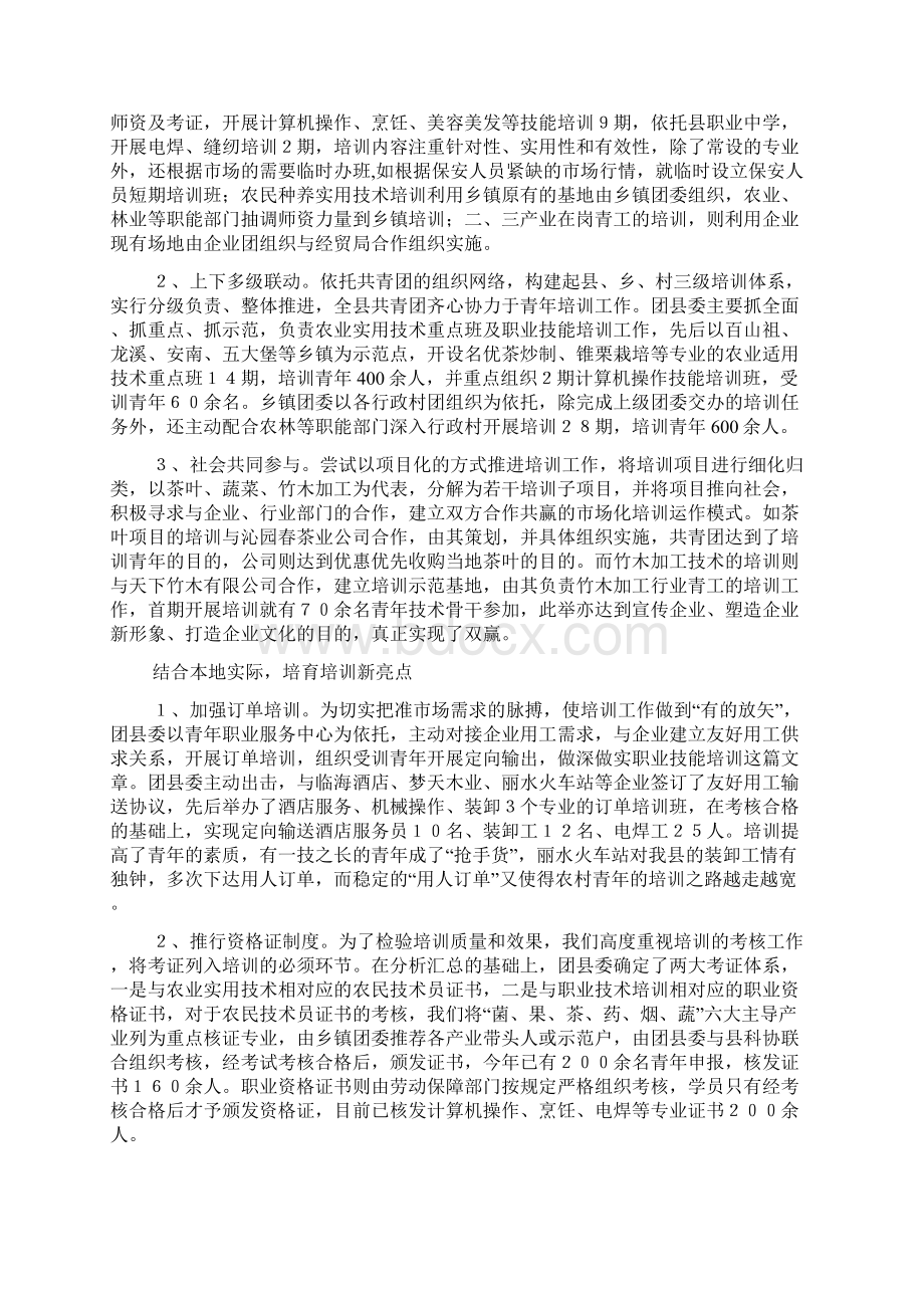 团县委实施农村青年人才培训工程的有益情况调研报告Word格式.docx_第3页