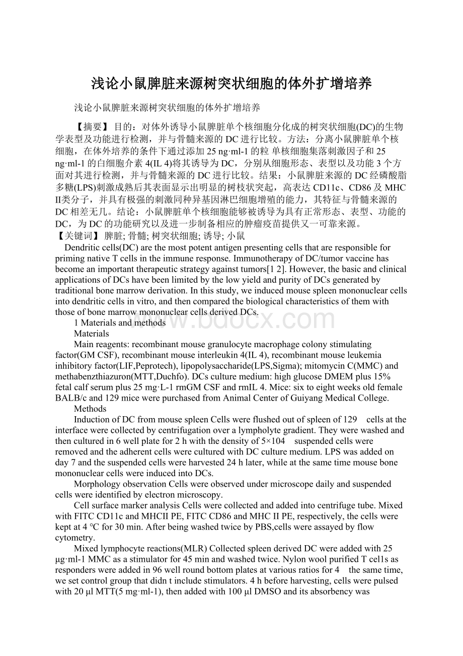 浅论小鼠脾脏来源树突状细胞的体外扩增培养Word文档格式.docx