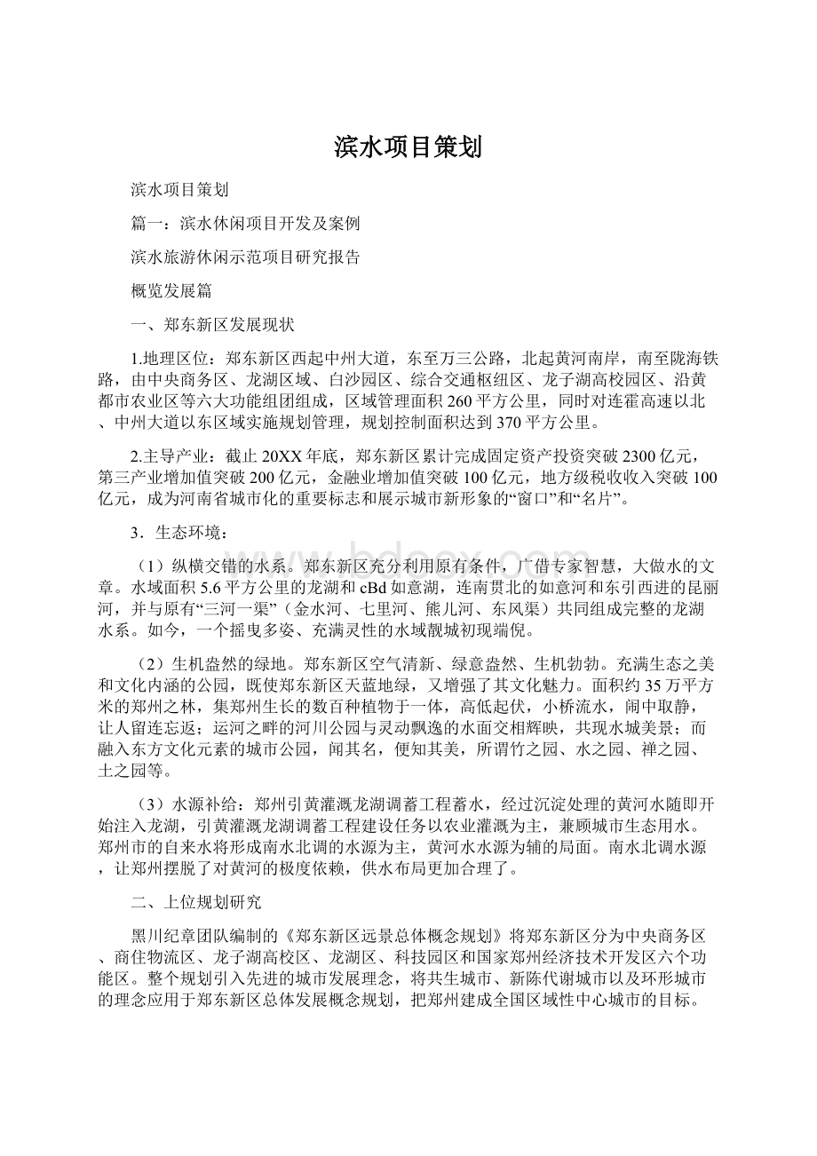 滨水项目策划文档格式.docx