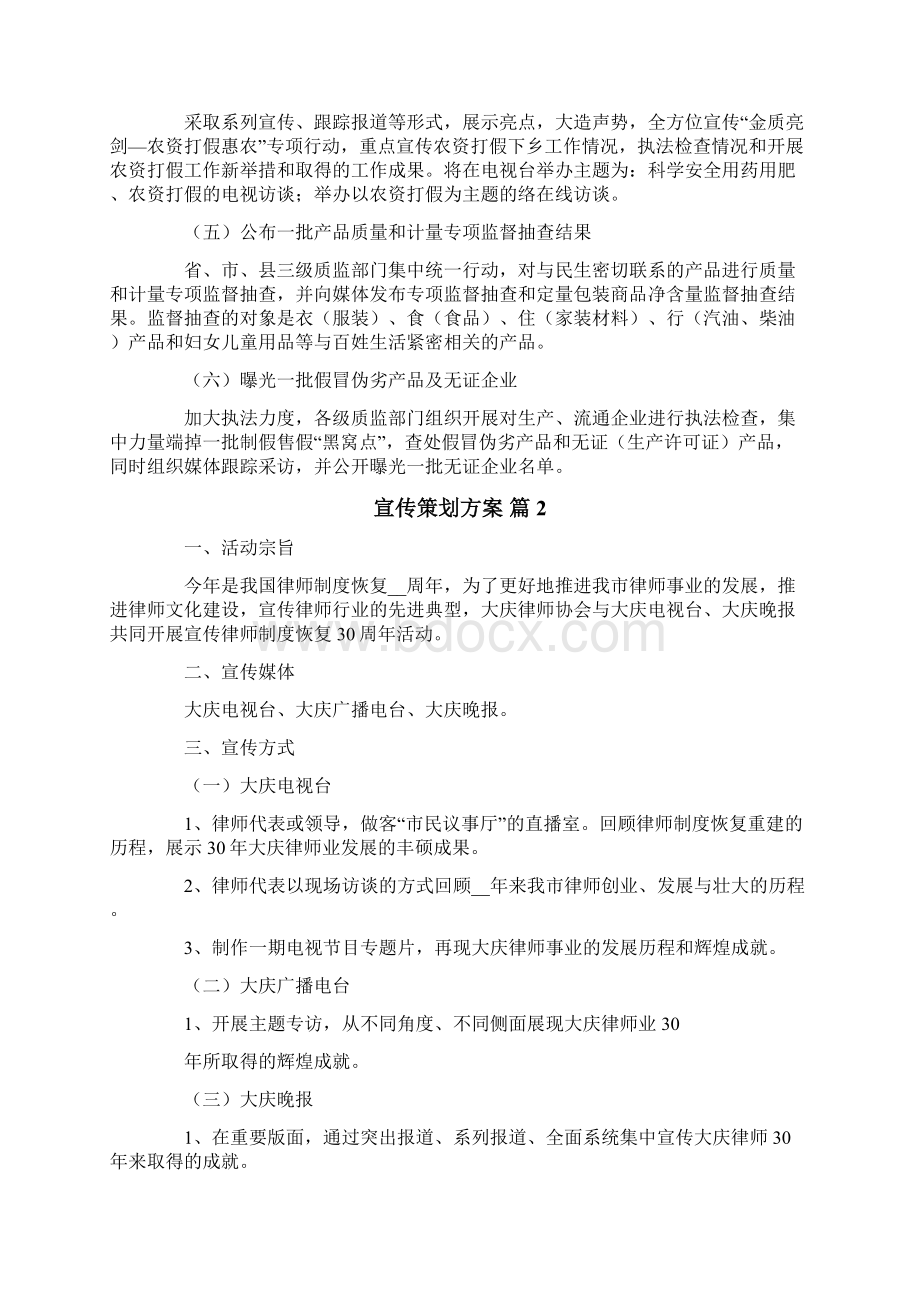 实用的宣传策划方案集合10篇.docx_第2页