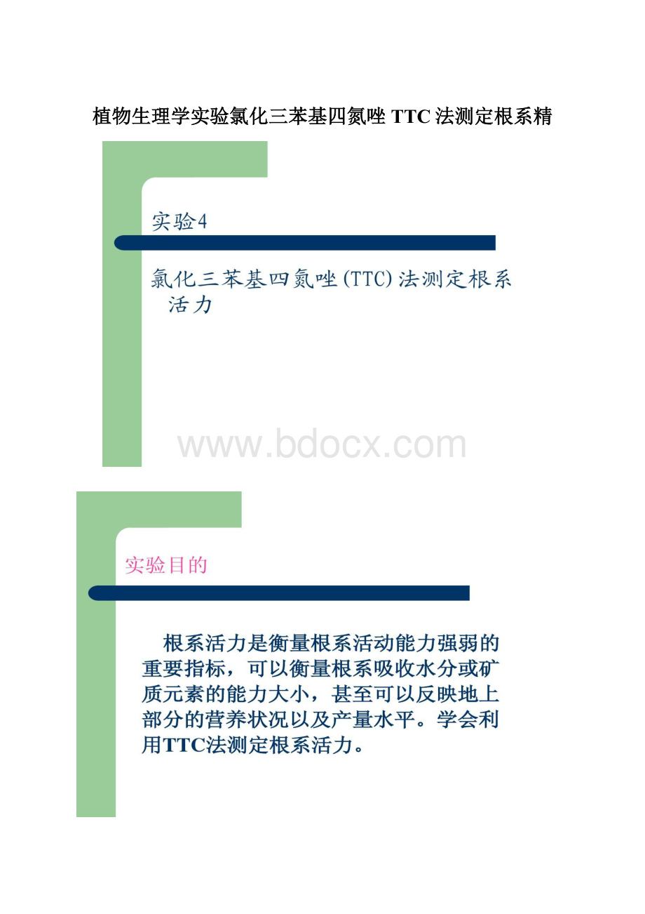 植物生理学实验氯化三苯基四氮唑TTC法测定根系精Word下载.docx