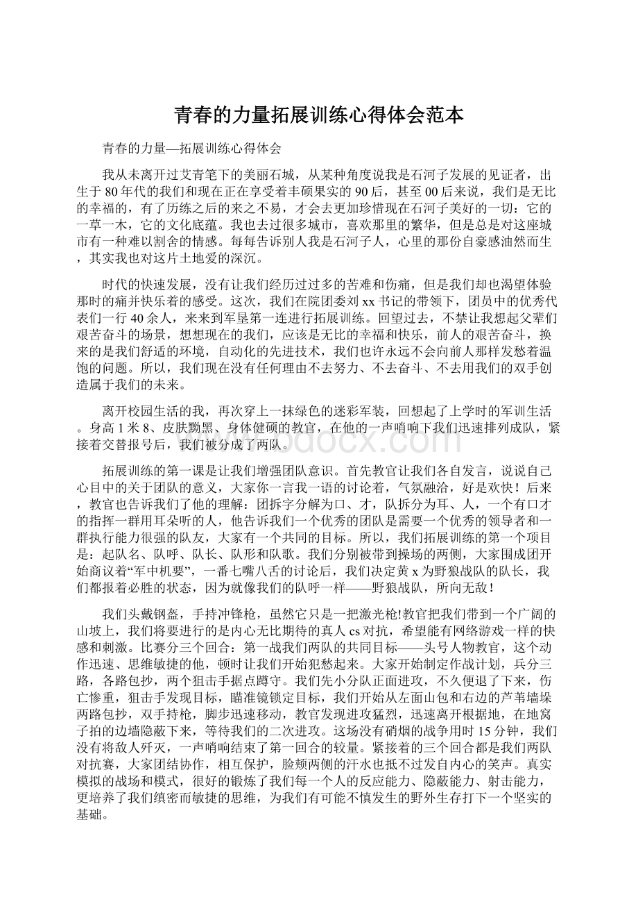 青春的力量拓展训练心得体会范本文档格式.docx