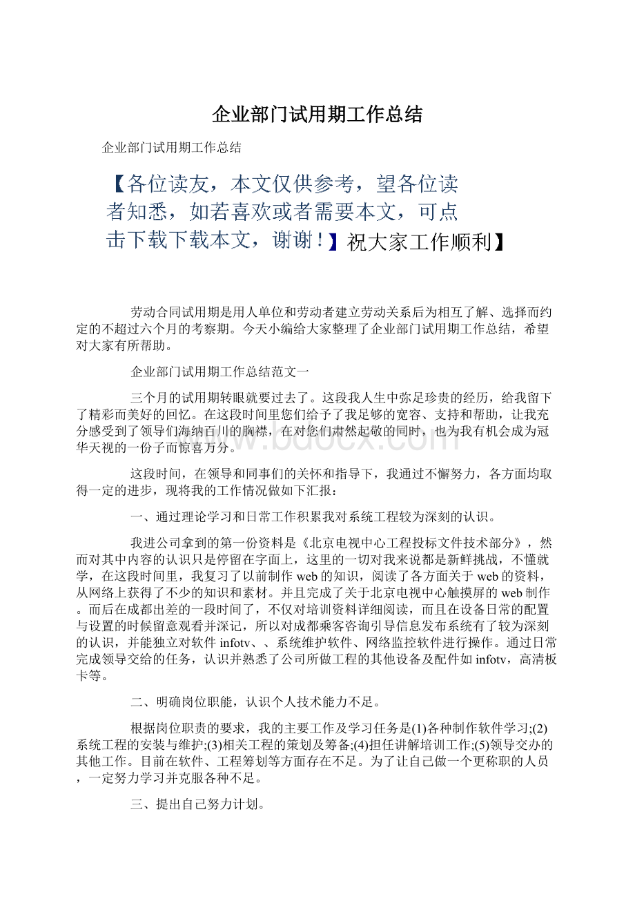 企业部门试用期工作总结文档格式.docx