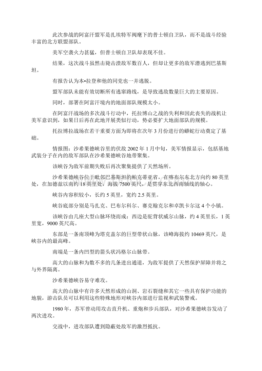 实战战例阿富汗战争之蟒蛇行动美Word格式文档下载.docx_第3页