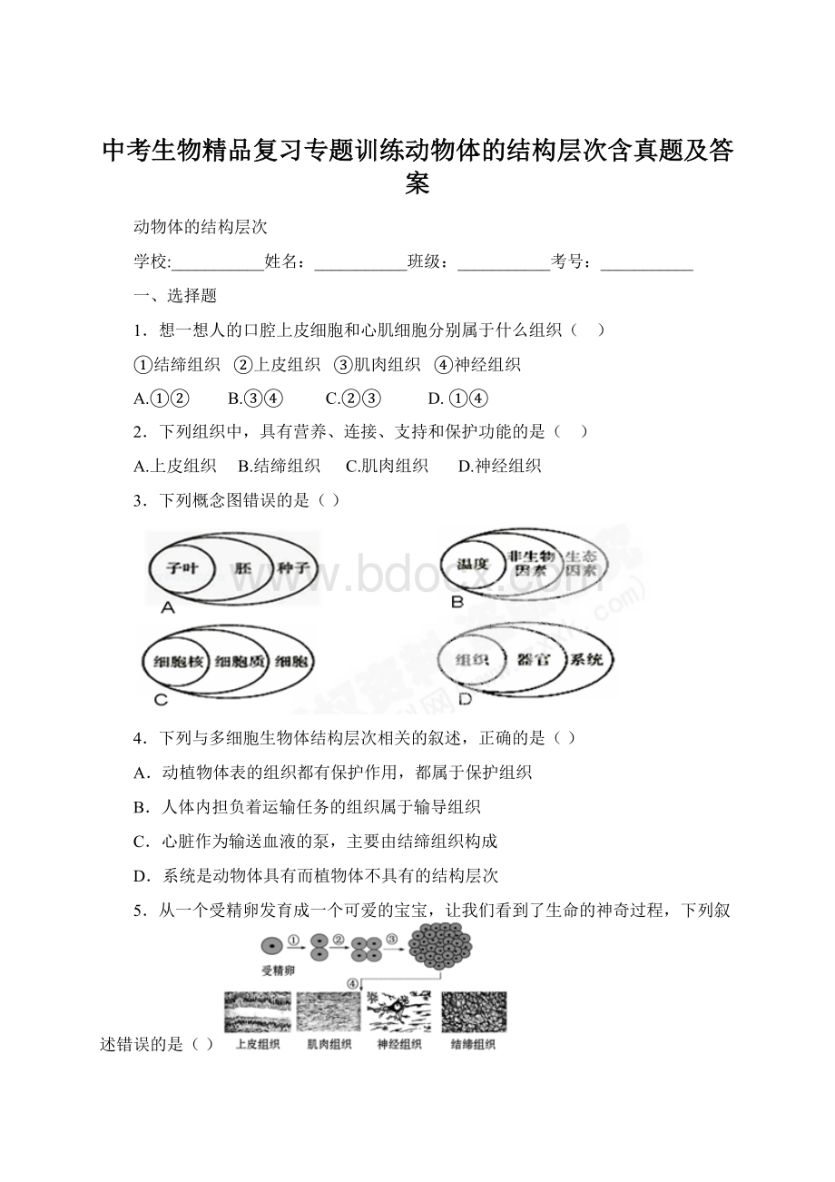 中考生物精品复习专题训练动物体的结构层次含真题及答案Word文档格式.docx_第1页