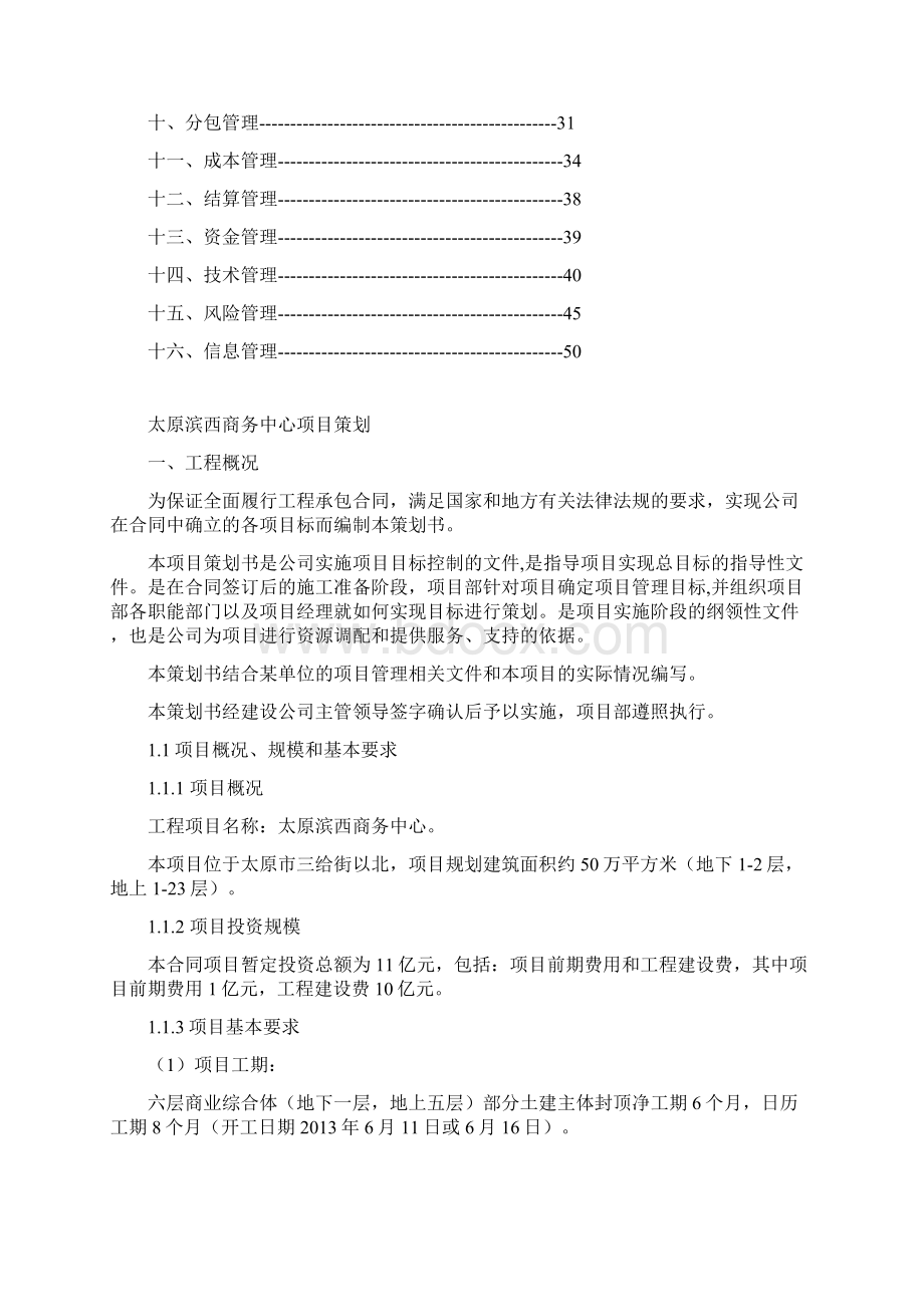 项目策划.docx_第2页