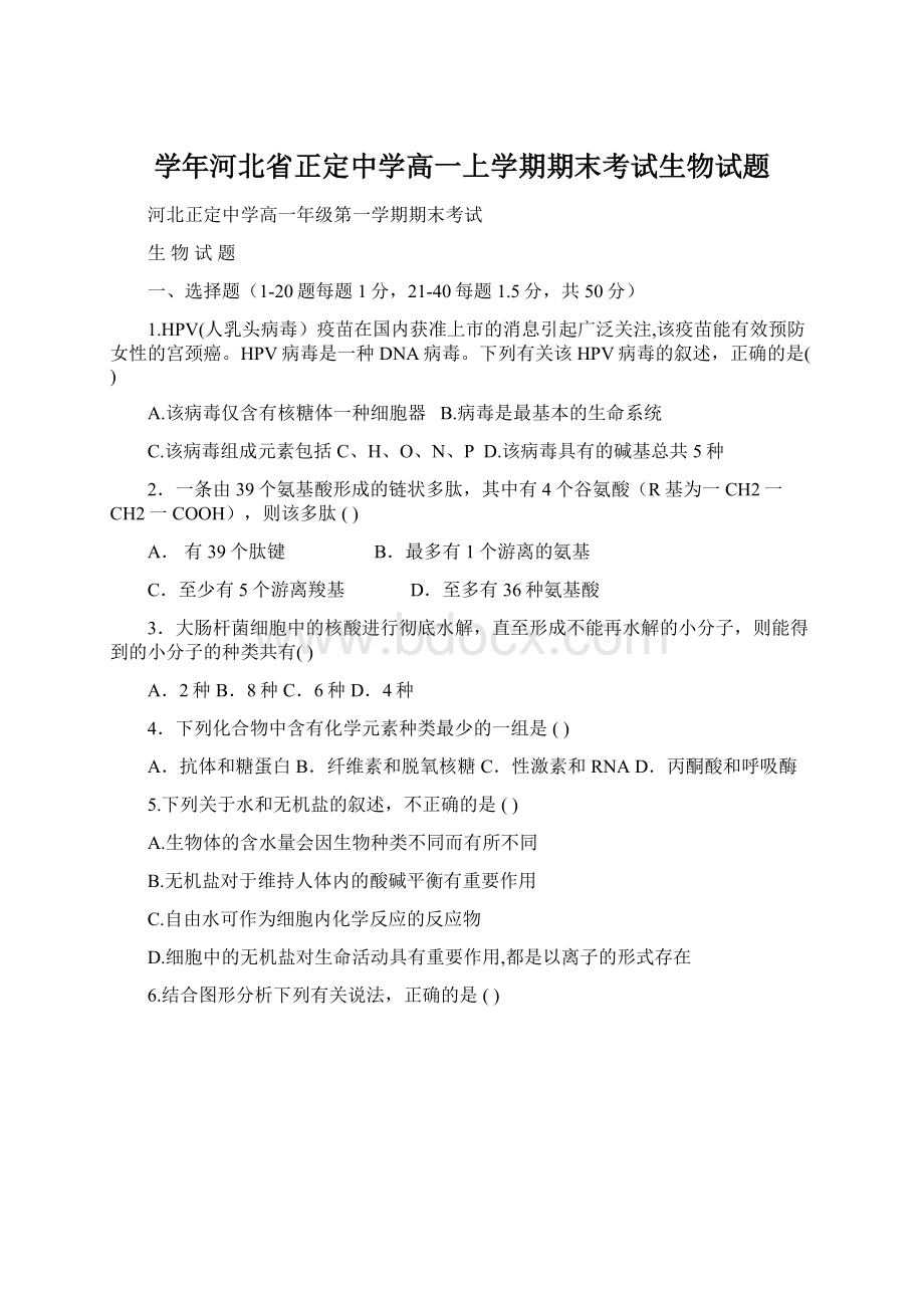 学年河北省正定中学高一上学期期末考试生物试题.docx