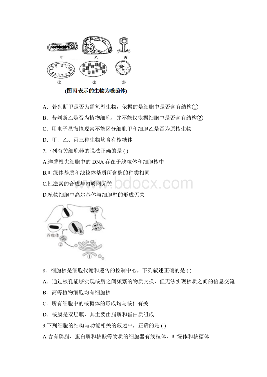 学年河北省正定中学高一上学期期末考试生物试题Word文档格式.docx_第2页