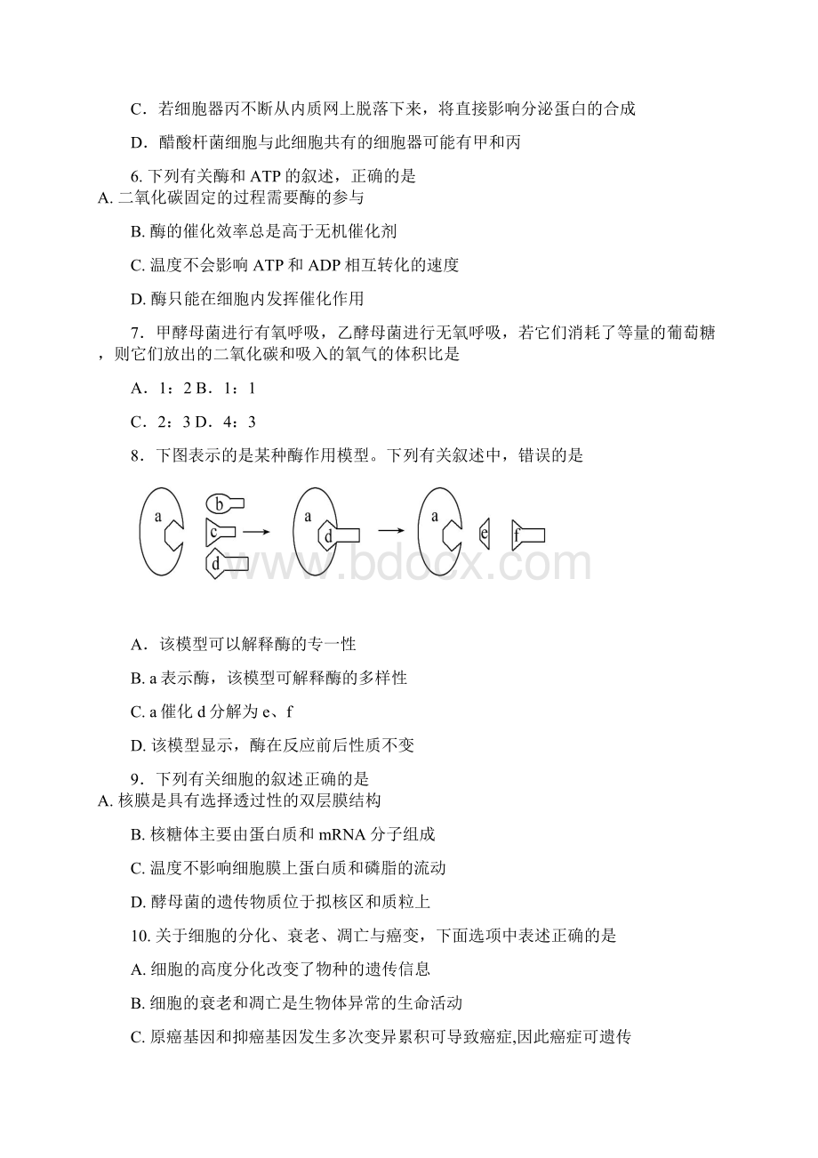 学年山西省忻州市第一中学高一下学期期末补考生物试题Word格式文档下载.docx_第2页