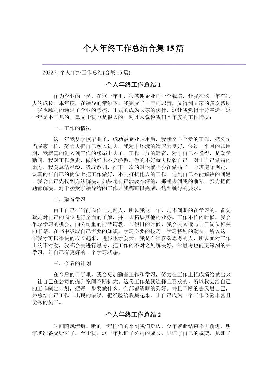 个人年终工作总结合集15篇文档格式.docx