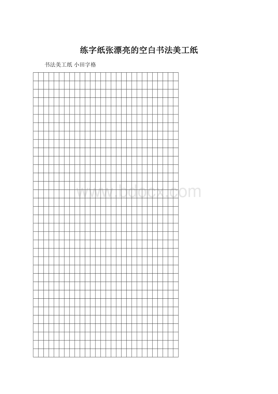 练字纸张漂亮的空白书法美工纸文档格式.docx_第1页