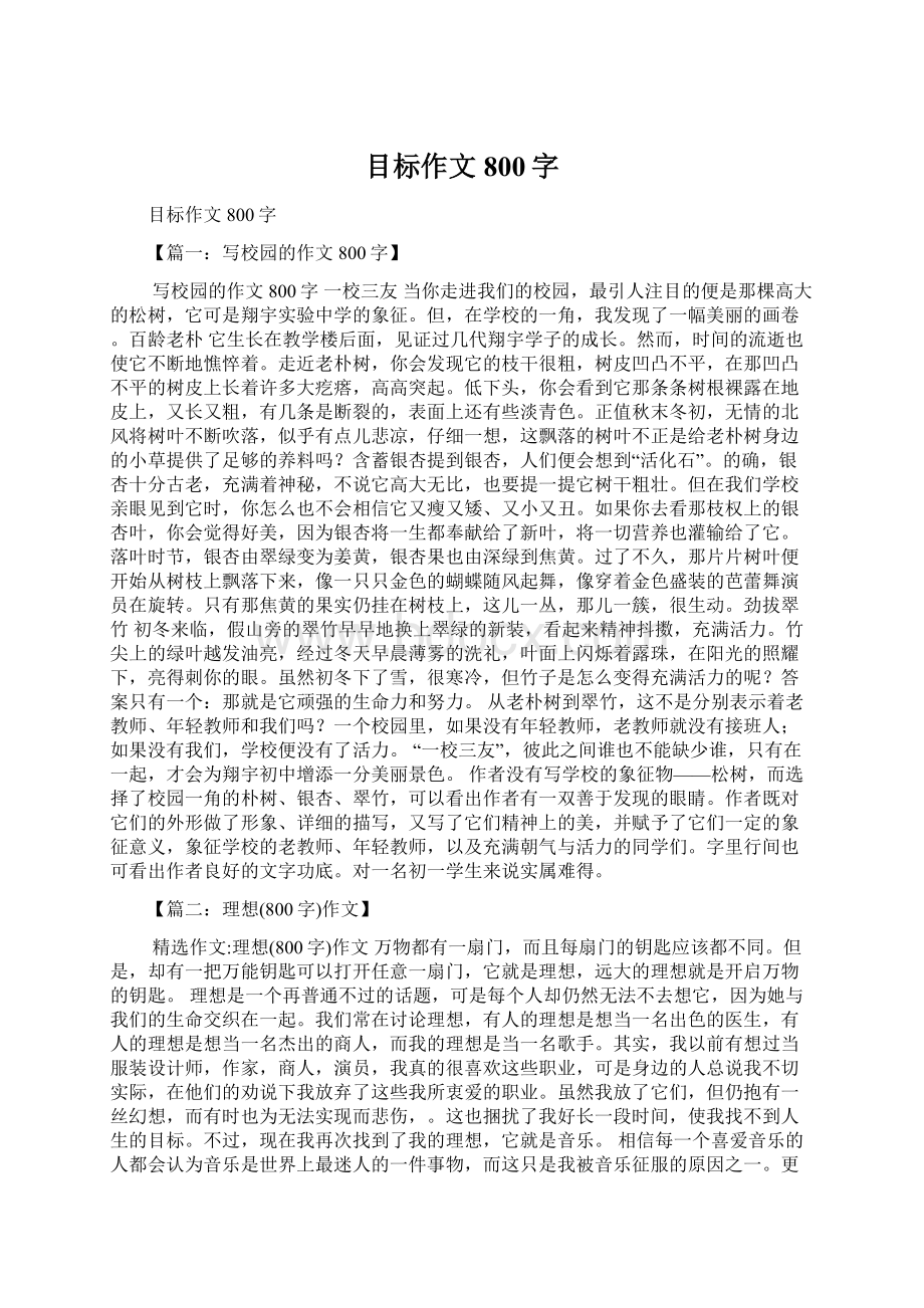 目标作文800字Word文档下载推荐.docx