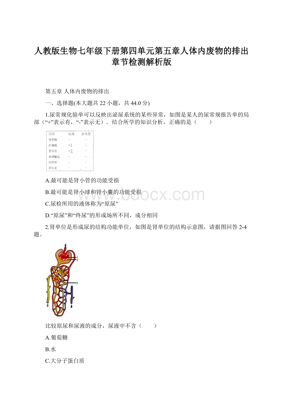 人教版生物七年级下册第四单元第五章人体内废物的排出章节检测解析版.docx