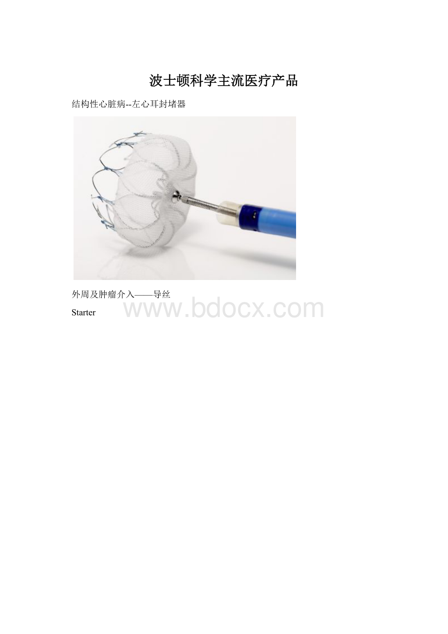 波士顿科学主流医疗产品.docx