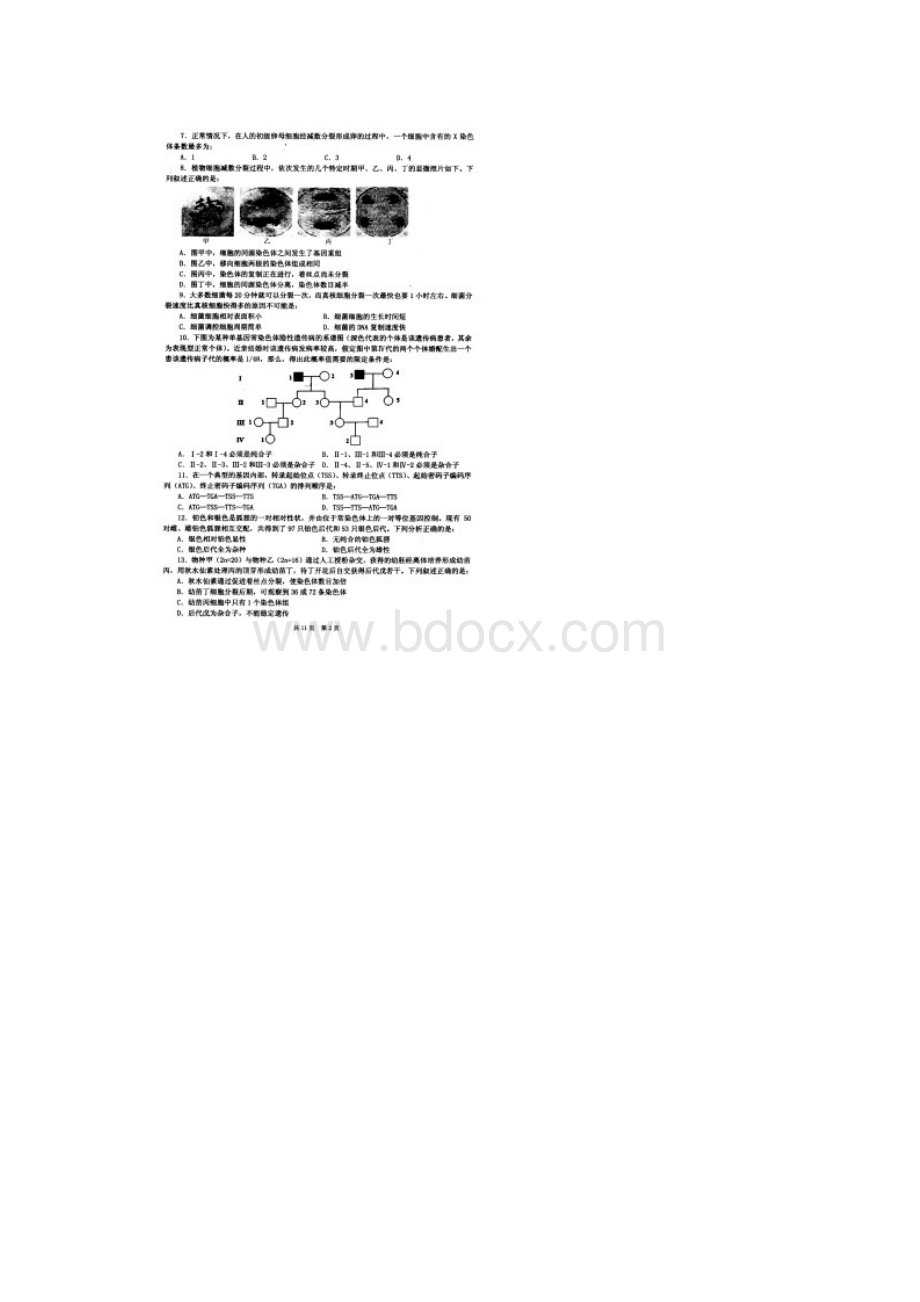 全国中学生生物学竞赛江西赛区高中组预赛试题及答案Word文件下载.docx_第2页