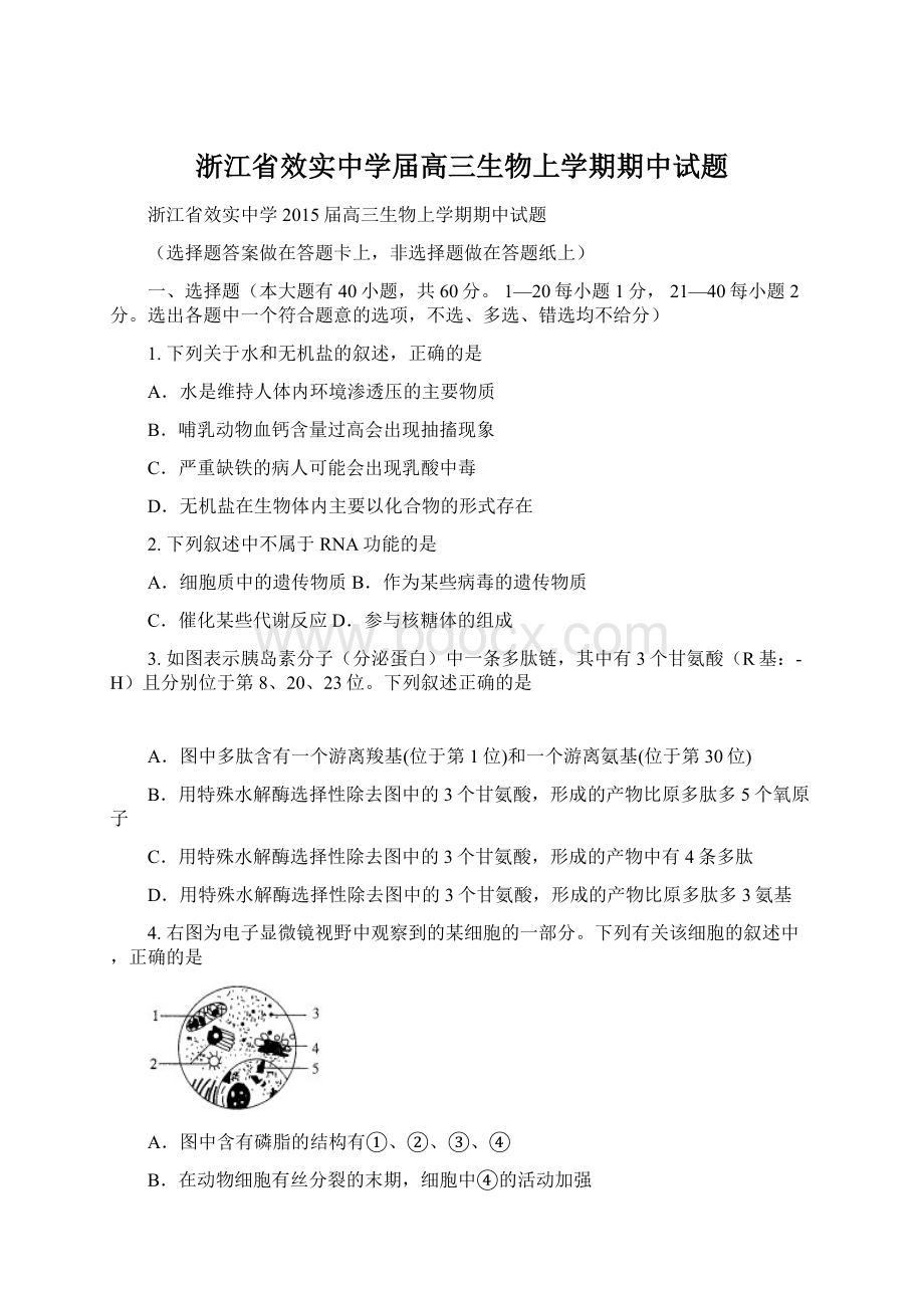 浙江省效实中学届高三生物上学期期中试题.docx_第1页