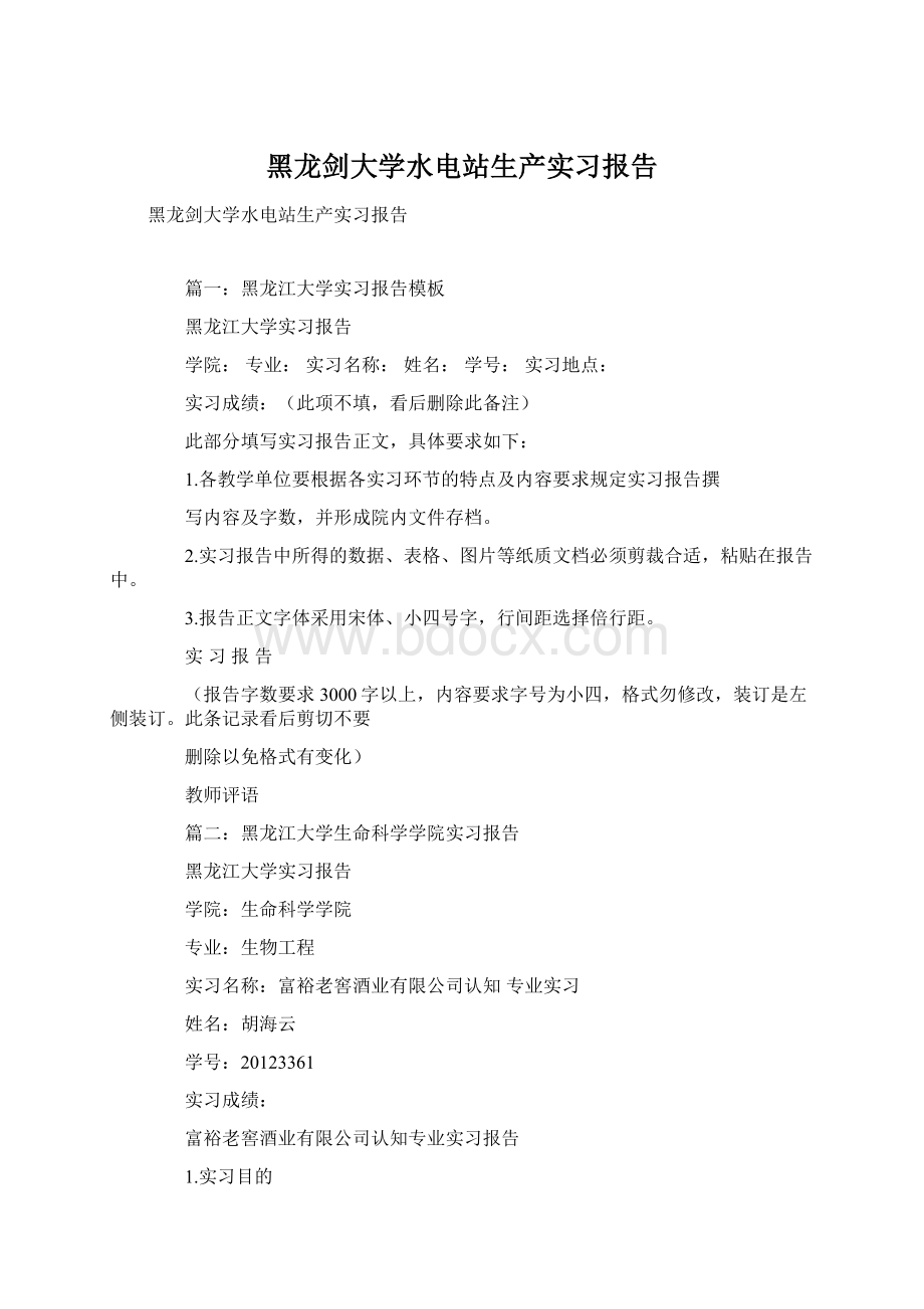 黑龙剑大学水电站生产实习报告.docx_第1页