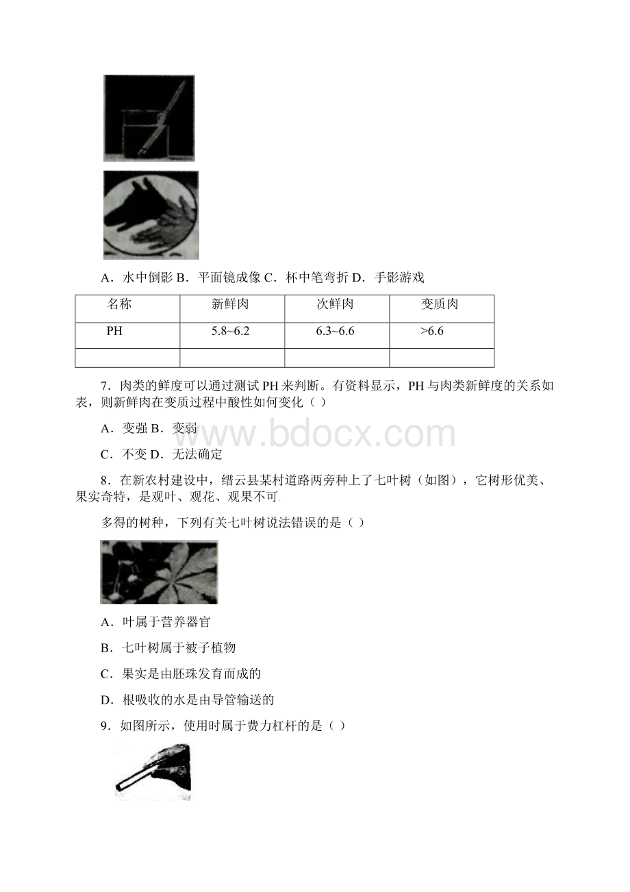 浙江省丽水市中考科学试题与答案.docx_第3页