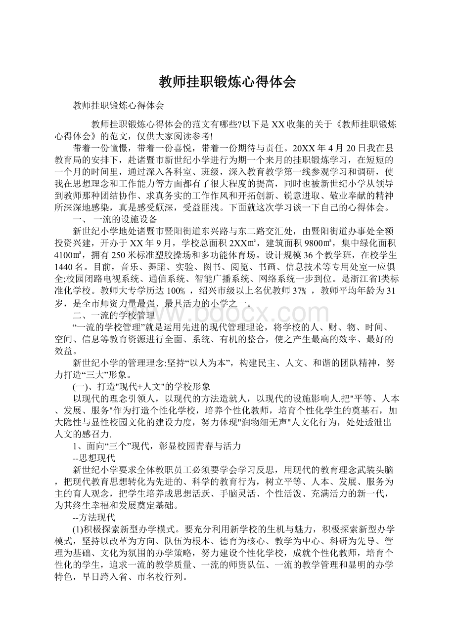 教师挂职锻炼心得体会.docx