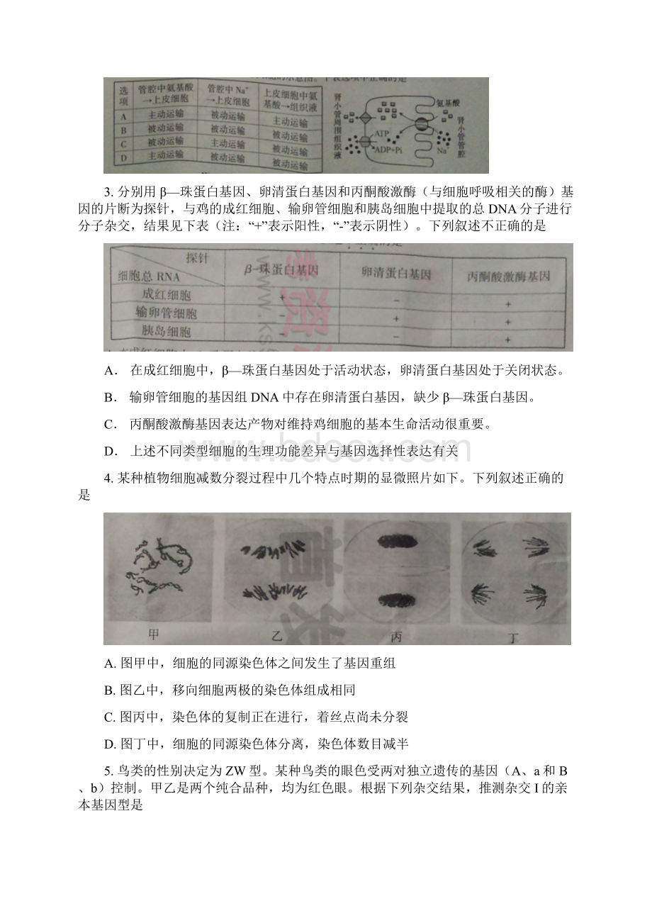 普通高等学校招生全国统一考试安徽卷理综Word格式文档下载.docx_第2页