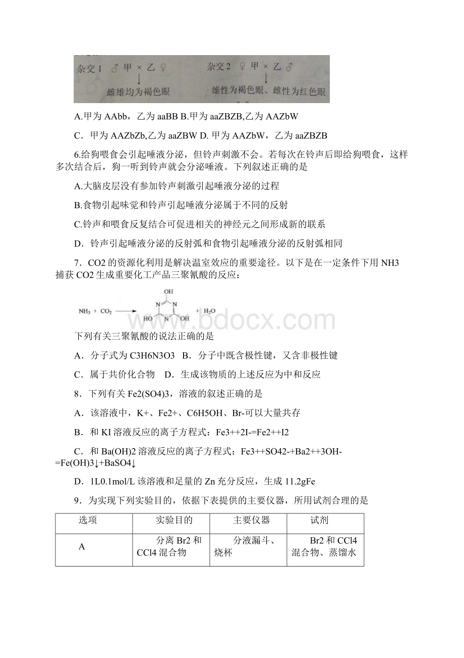 普通高等学校招生全国统一考试安徽卷理综Word格式文档下载.docx_第3页