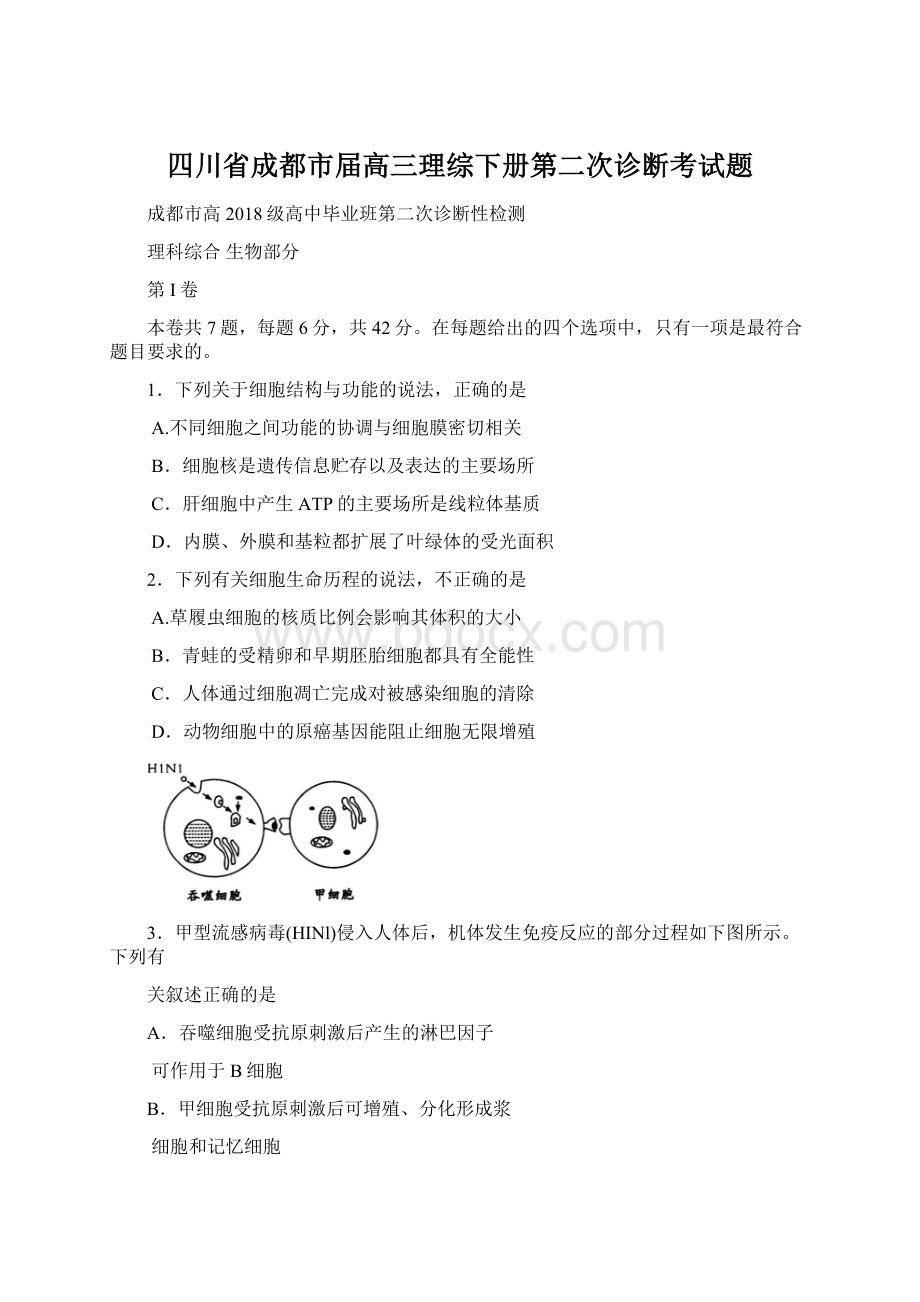 四川省成都市届高三理综下册第二次诊断考试题Word格式文档下载.docx