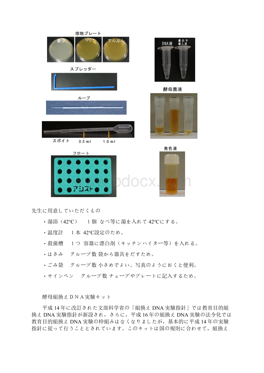 パン酵母を利用した组换えDNAキット精.docx_第3页