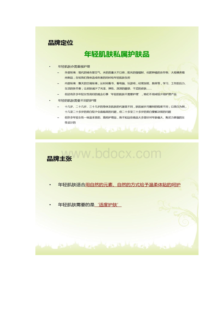 xxx品牌网络营销推广策略框架最终版修改版Word下载.docx_第2页