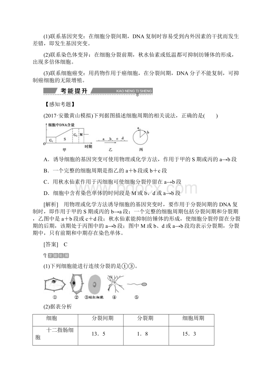 全国版高考生物大一轮复习第四单元细胞的生命历程第13讲细胞的增殖学案.docx_第3页