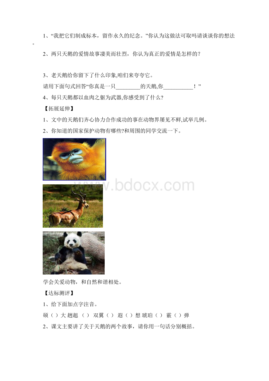 比较《天鹅的故事》《满腔热血已经沸腾》Word文件下载.docx_第2页