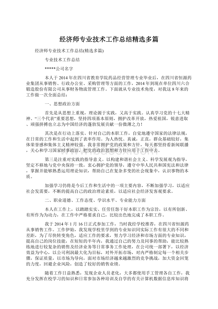 经济师专业技术工作总结精选多篇文档格式.docx