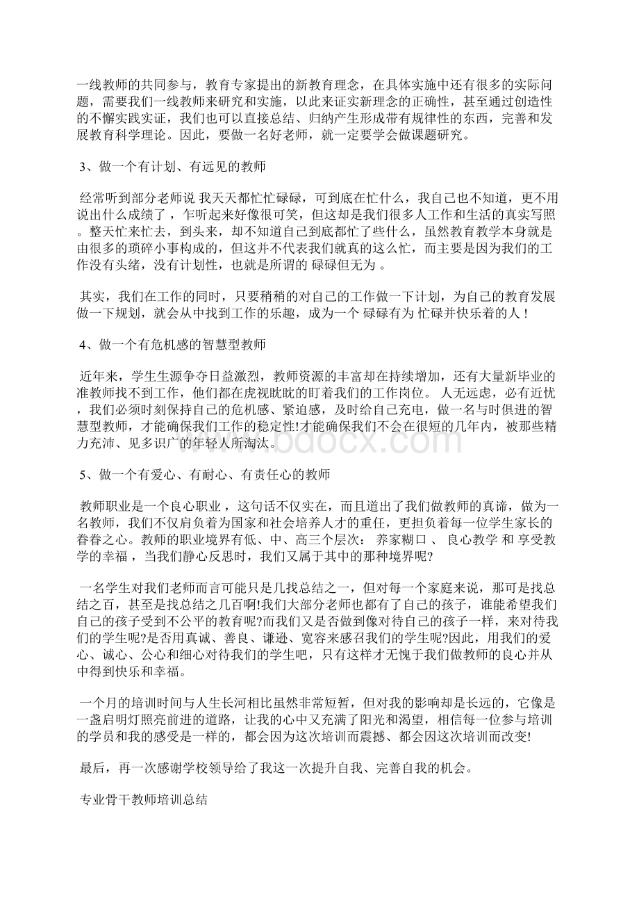 暑假骨干教师培训总结.docx_第3页