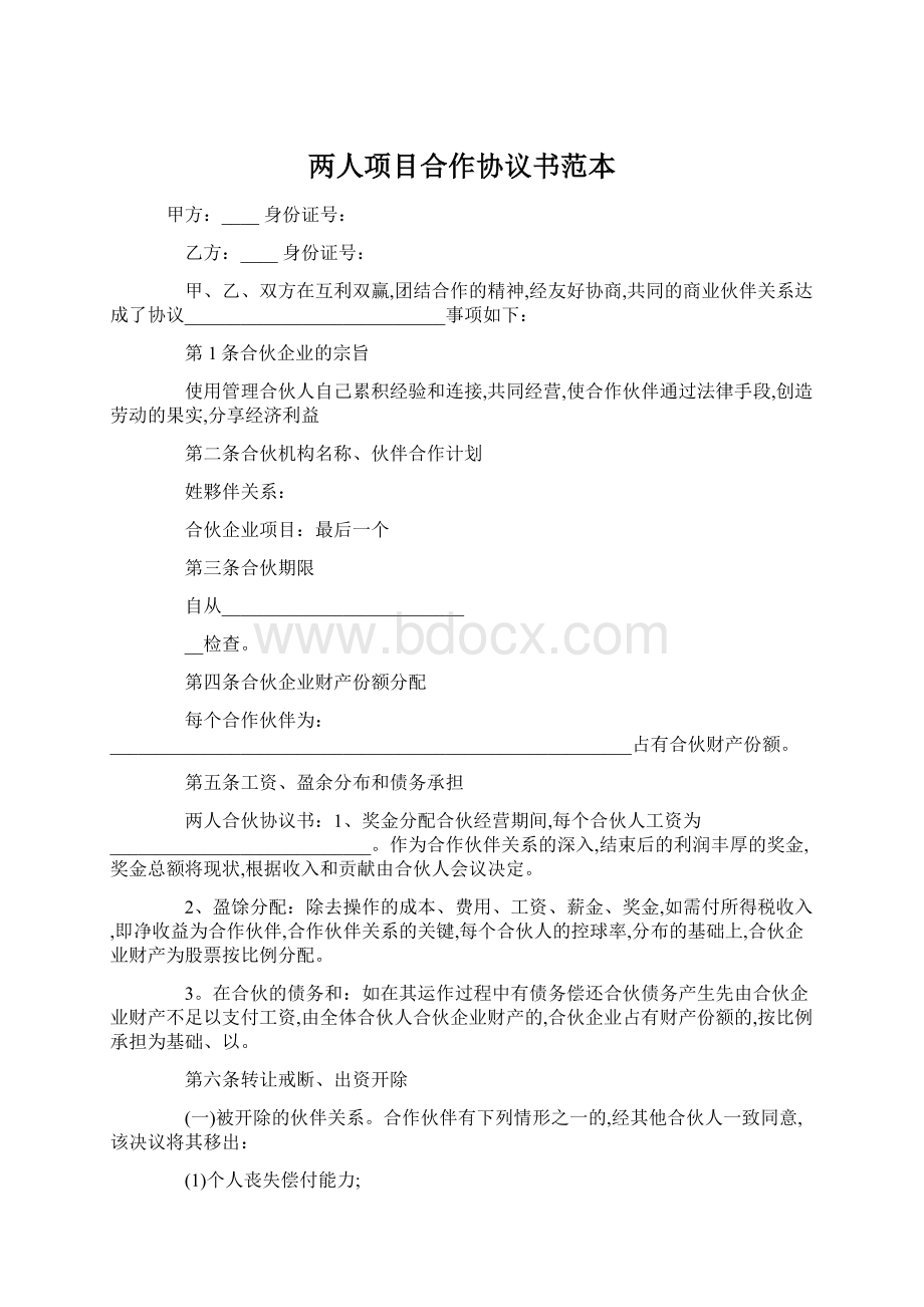 两人项目合作协议书范本Word格式文档下载.docx_第1页