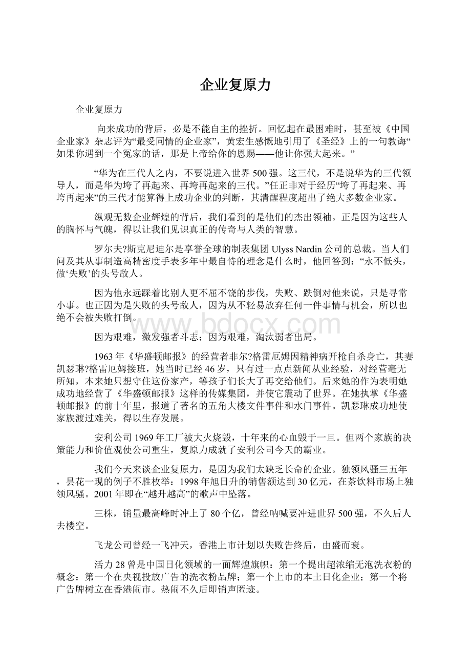 企业复原力文档格式.docx