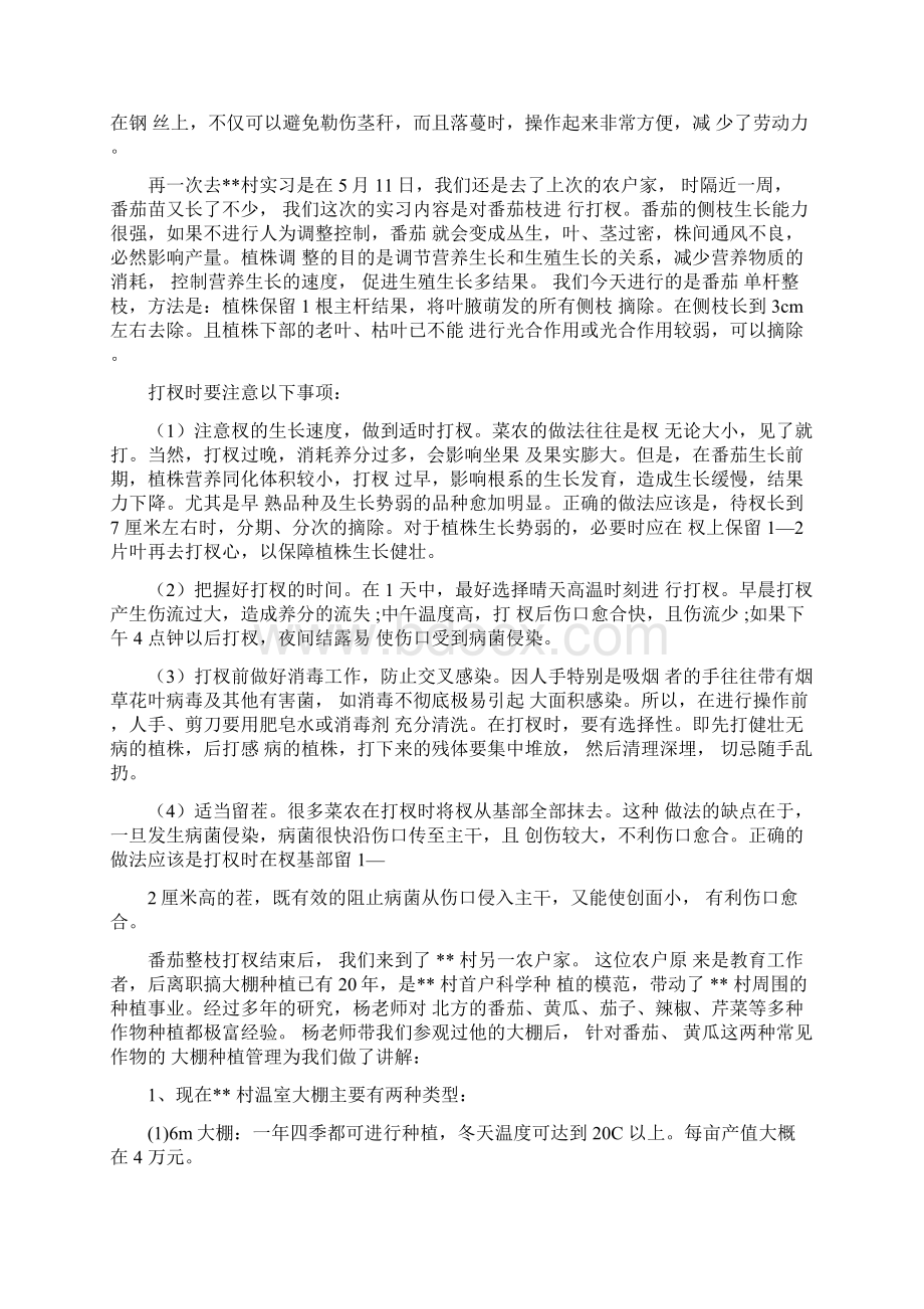 园艺专业栽培技能训练实习报告.docx_第2页