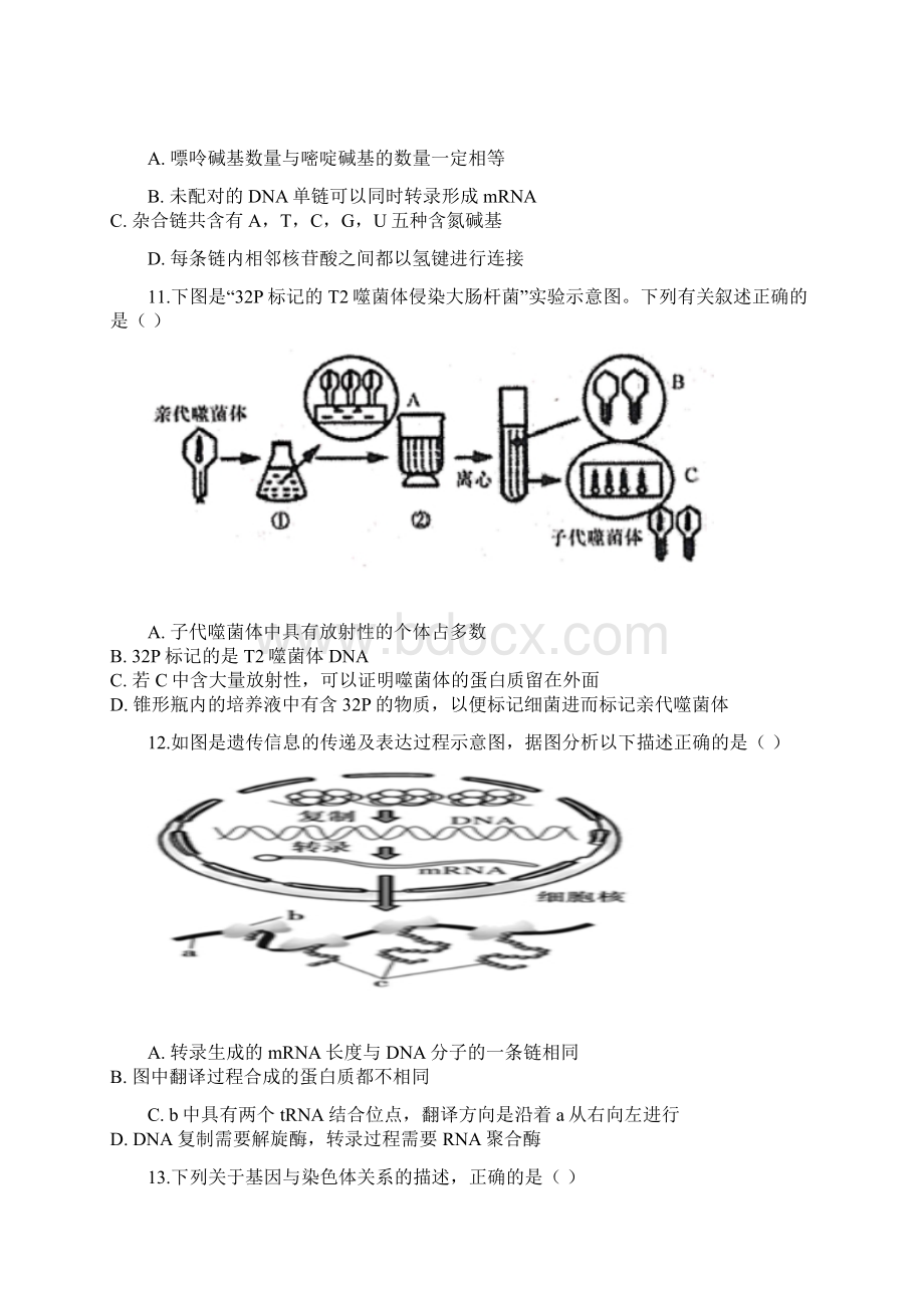 学年广西贵港市覃塘高级中学高一月考生物试题.docx_第3页