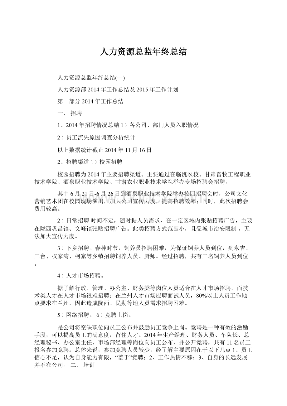 人力资源总监年终总结.docx_第1页