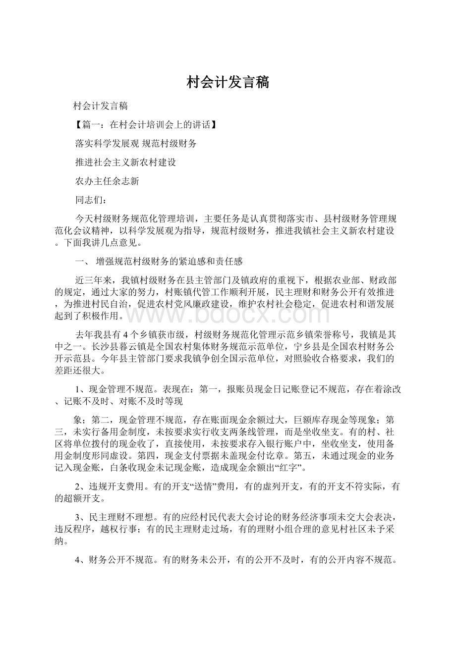 村会计发言稿Word格式文档下载.docx