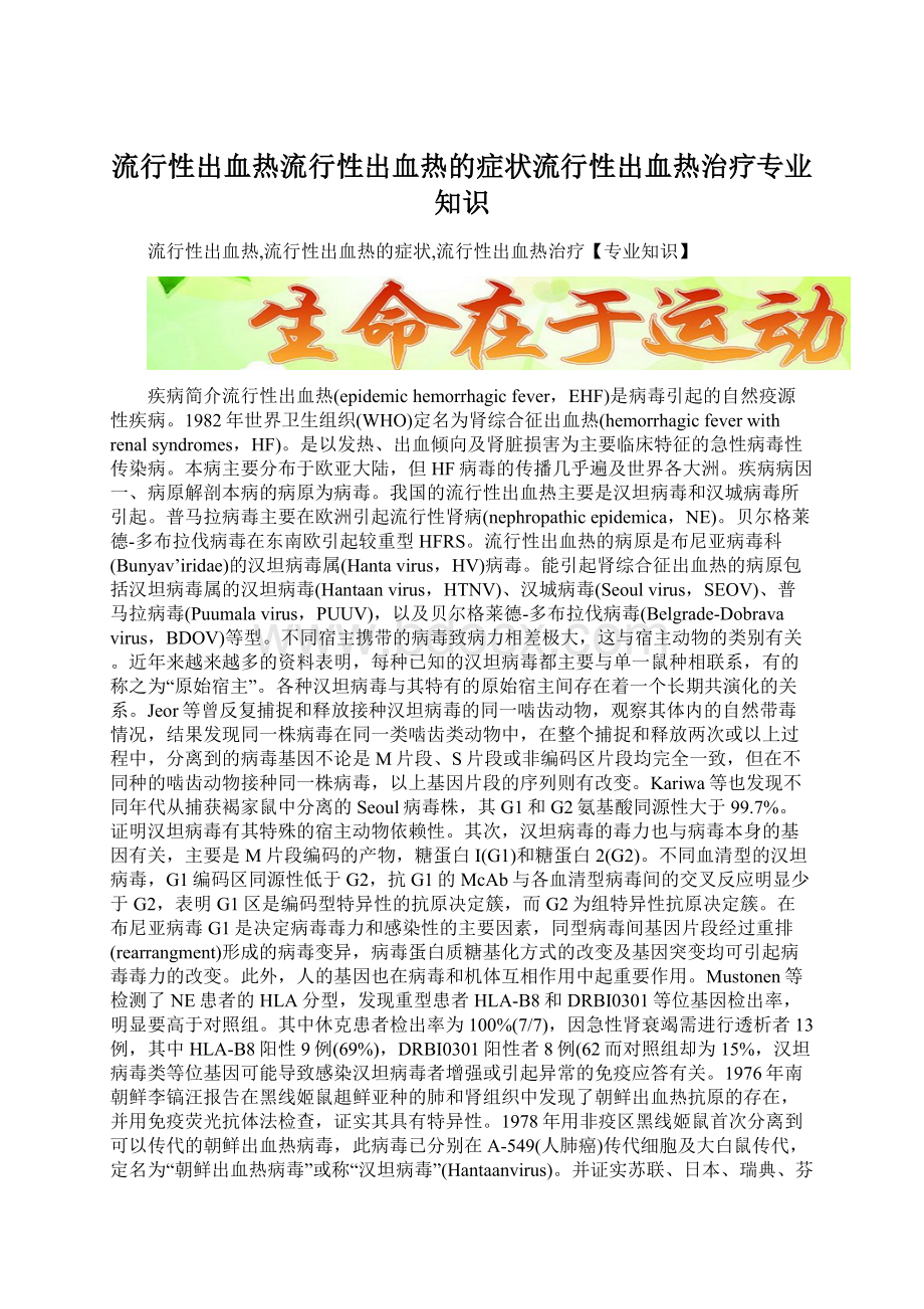 流行性出血热流行性出血热的症状流行性出血热治疗专业知识Word文件下载.docx_第1页