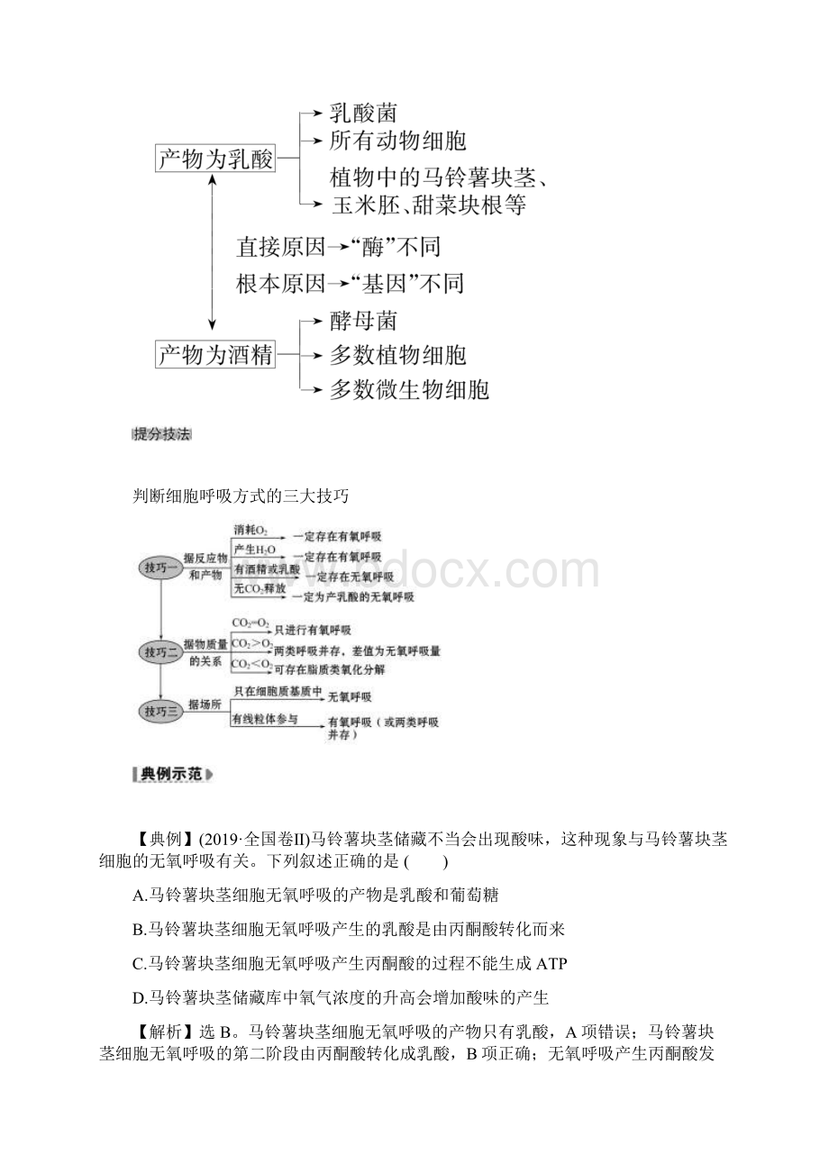 版高考人教版通用生物核心讲练大一轮复习ATP的主要来源细胞呼吸 Word版含答案.docx_第3页