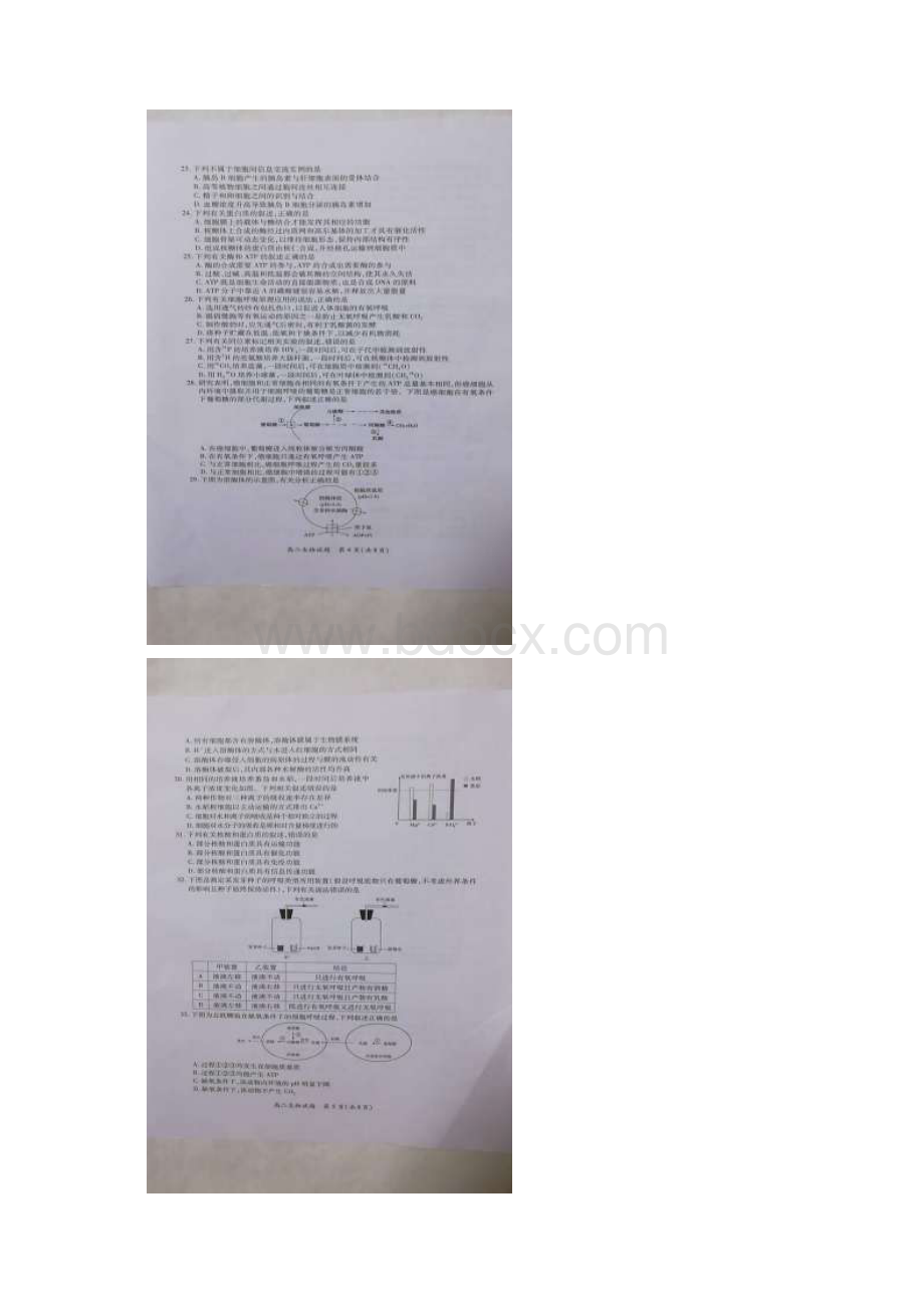 学年福建省厦门市高二下学期期末考试生物试题扫描版.docx_第3页