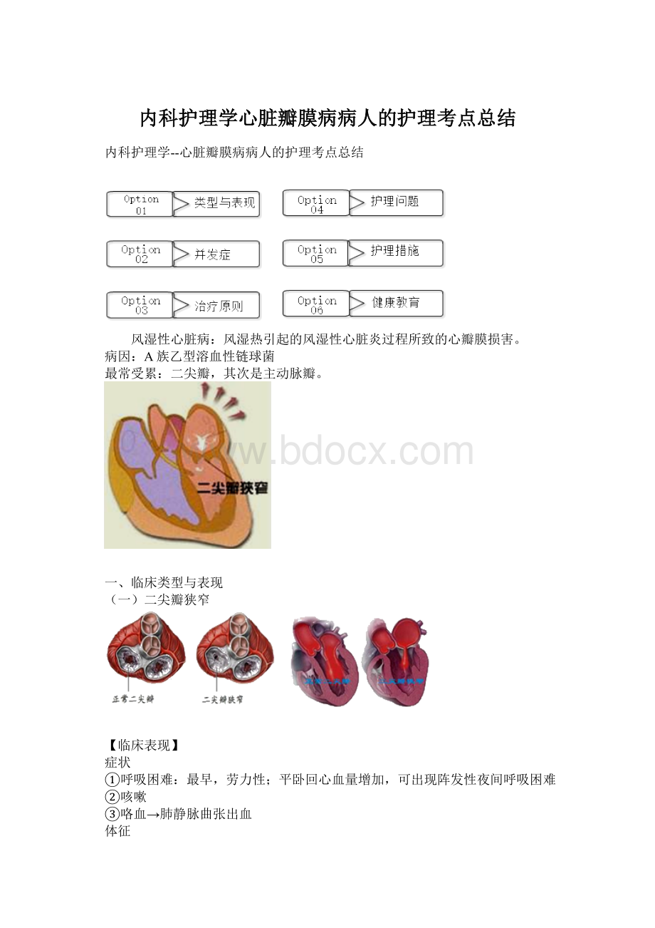 内科护理学心脏瓣膜病病人的护理考点总结.docx_第1页