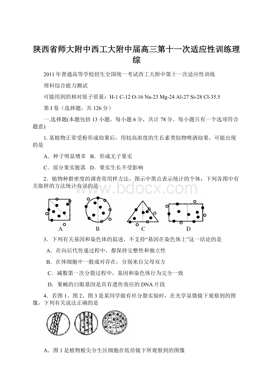 陕西省师大附中西工大附中届高三第十一次适应性训练理综.docx_第1页