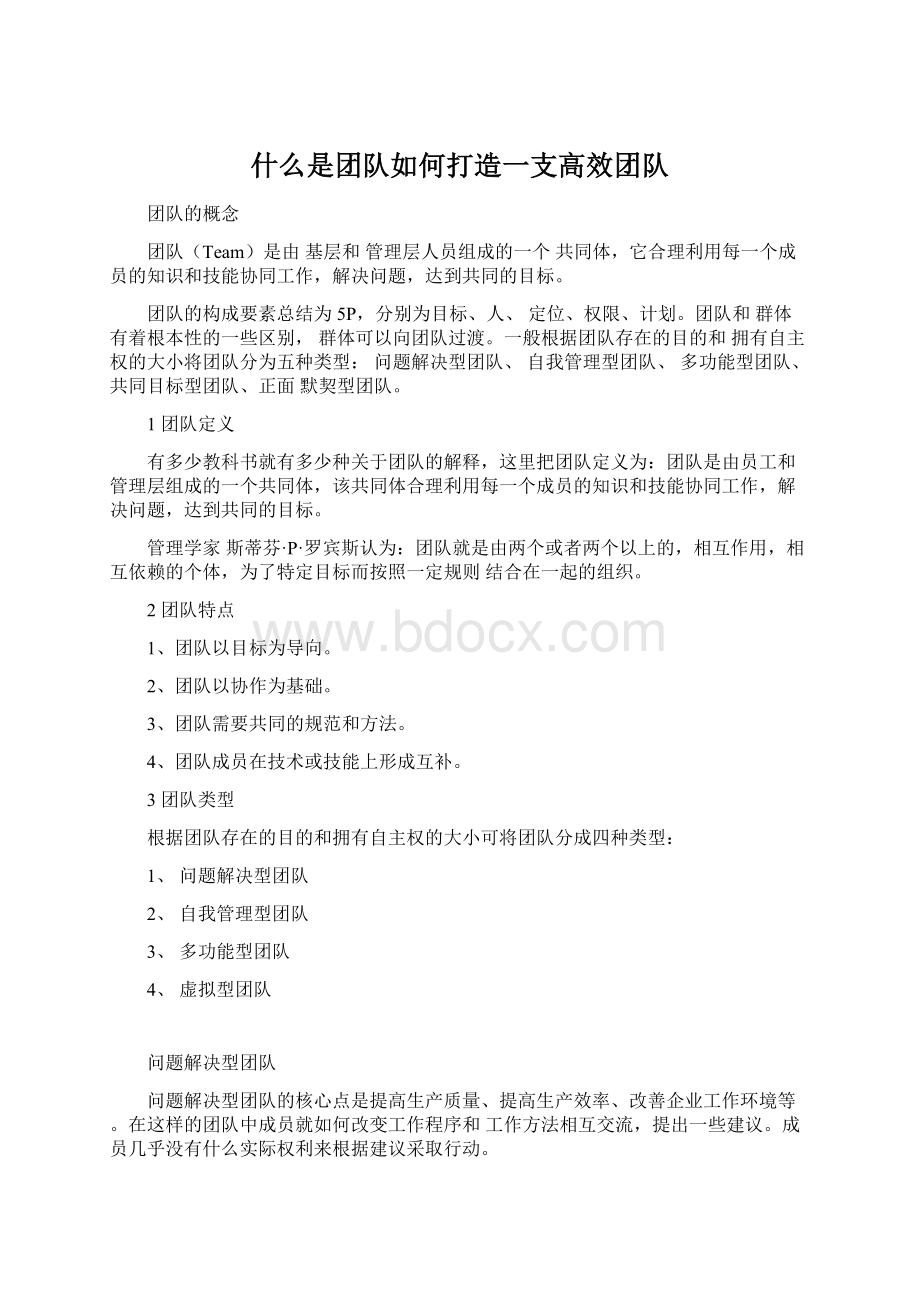 什么是团队如何打造一支高效团队Word格式文档下载.docx_第1页