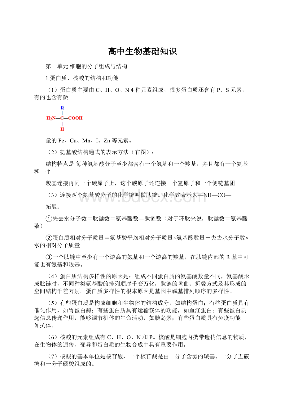 高中生物基础知识Word格式文档下载.docx