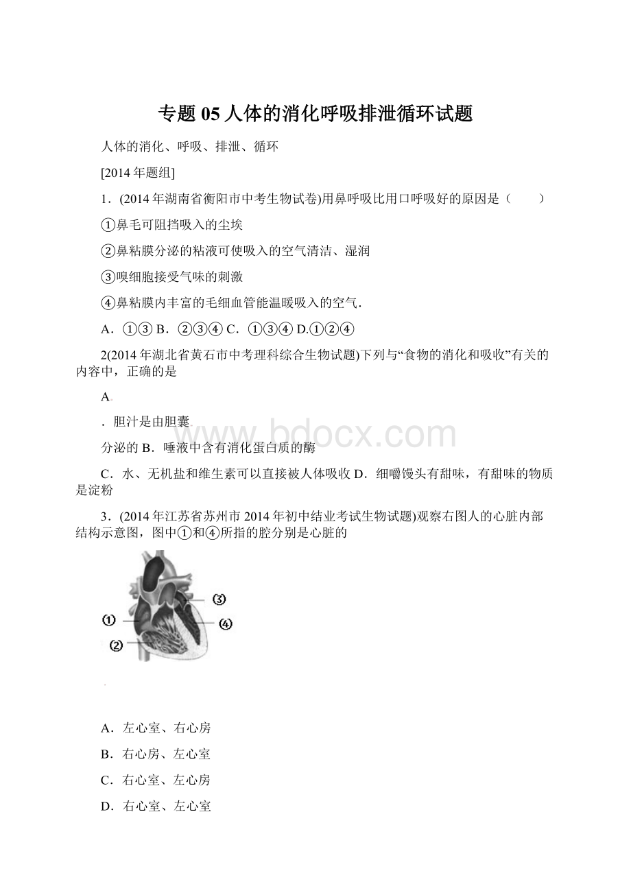 专题05人体的消化呼吸排泄循环试题.docx_第1页