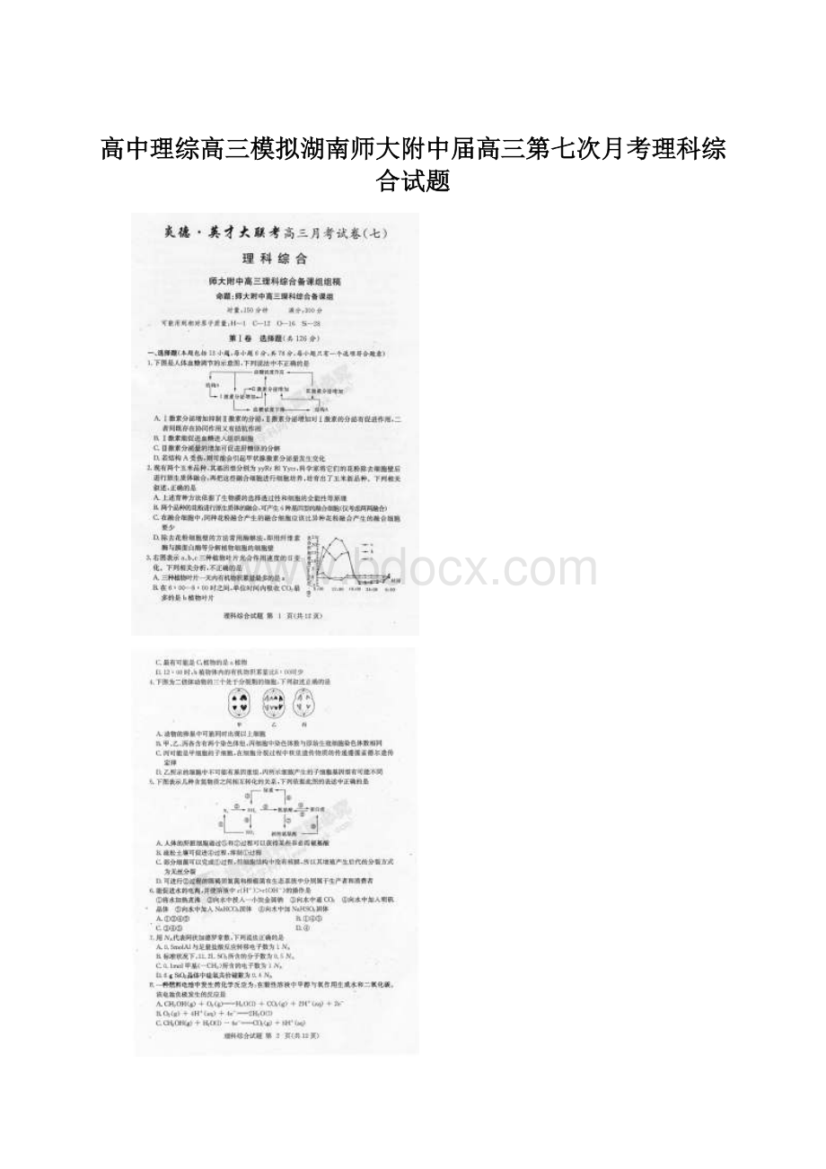 高中理综高三模拟湖南师大附中届高三第七次月考理科综合试题.docx