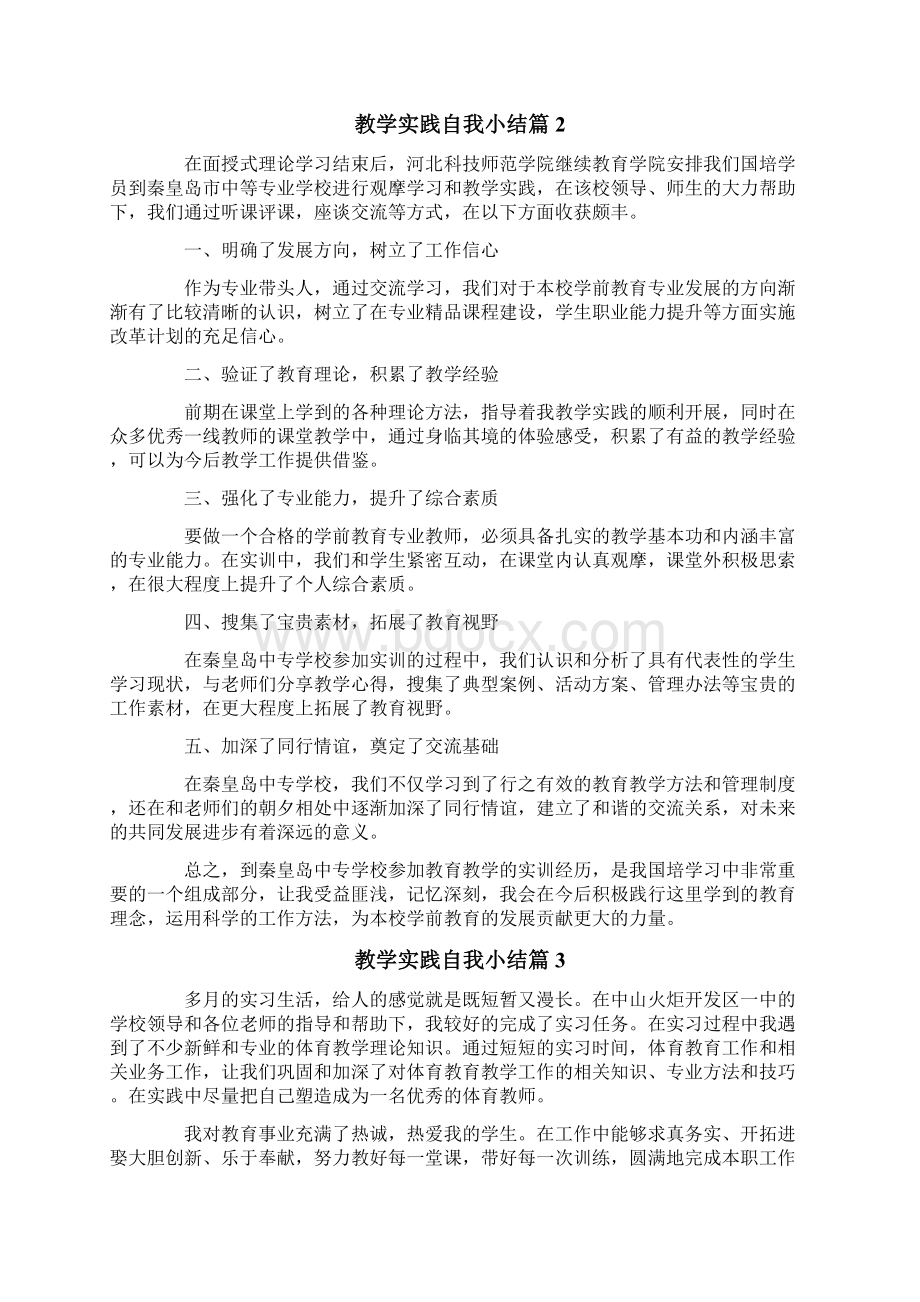 教学实践自我小结5篇Word格式.docx_第2页