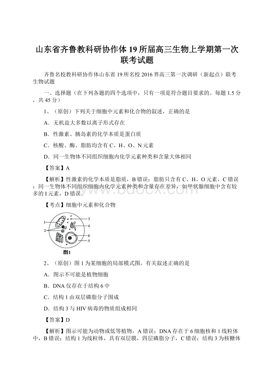 山东省齐鲁教科研协作体19所届高三生物上学期第一次联考试题.docx