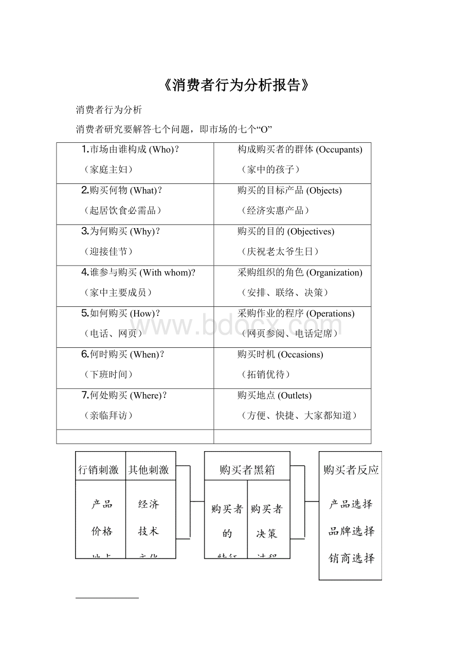 《消费者行为分析报告》.docx_第1页